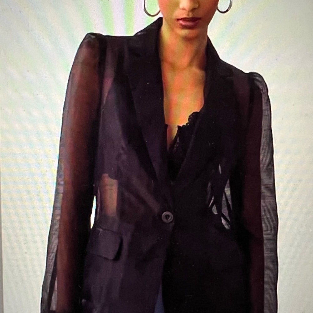 Anthropologie Dolan Left Coast Sheer Organza Blazer